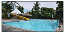 Adult Pool