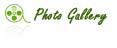 Pergola Suppliers